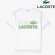 画像1: LACOSTE ( ラコステ ) - ヴィンテージプリントクルーネックTシャツ (1)