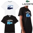 画像1: LACOSTE ( ラコステ ) - ヘリテージグラフィックプリントTシャツ (1)
