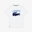 画像2: LACOSTE ( ラコステ ) - ヘリテージグラフィックプリントTシャツ (2)