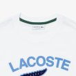 画像4: LACOSTE ( ラコステ ) - ヘリテージグラフィックプリントTシャツ (4)