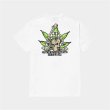 画像3: HUF ( ハフ ) - HUF X CYPRESS CYPRESS TRIANGLE TEE (3)