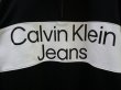 画像2: CALVIN KLEIN JEANS (カルバンクラインジーンズ) - カラーブロックハーフジップトレーナー (2)